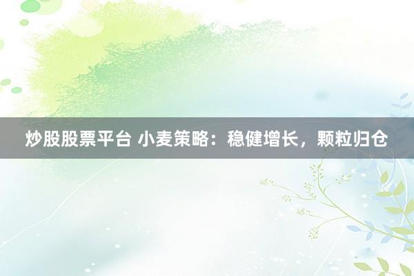 炒股股票平台 小麦策略：稳健增长，颗粒归仓