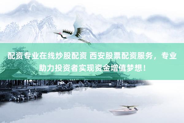 配资专业在线炒股配资 西安股票配资服务，专业助力投资者实现资金增值梦想！