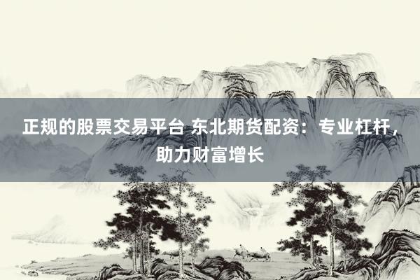 正规的股票交易平台 东北期货配资：专业杠杆，助力财富增长