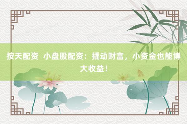 按天配资  小盘股配资：撬动财富，小资金也能博大收益！