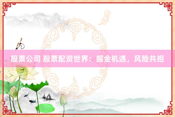 股票公司 股票配资世界：掘金机遇，风险共担
