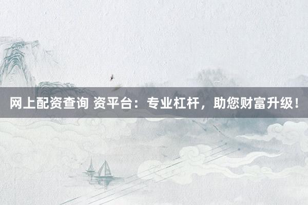 网上配资查询 资平台：专业杠杆，助您财富升级！