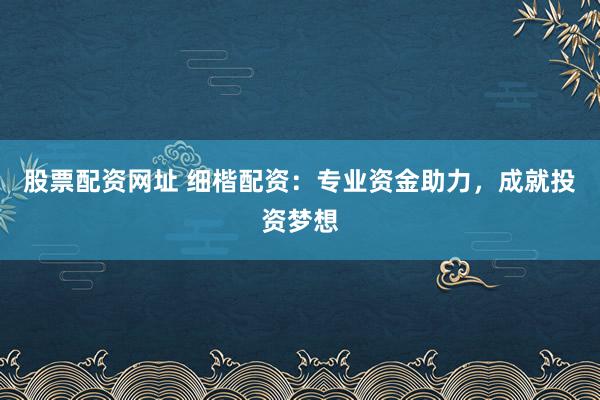 股票配资网址 细楷配资：专业资金助力，成就投资梦想