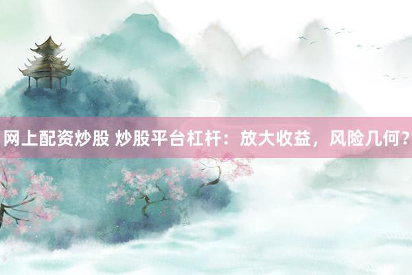 网上配资炒股 炒股平台杠杆：放大收益，风险几何？