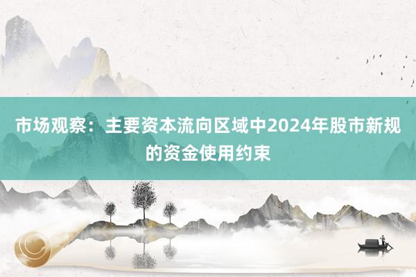 市场观察：主要资本流向区域中2024年股市新规的资金使用约束