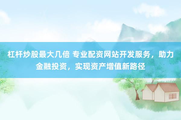 杠杆炒股最大几倍 专业配资网站开发服务，助力金融投资，实现资产增值新路径