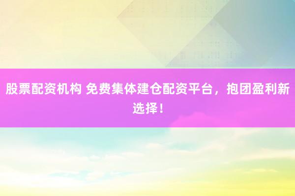 股票配资机构 免费集体建仓配资平台，抱团盈利新选择！