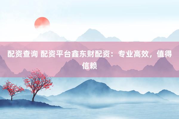配资查询 配资平台鑫东财配资：专业高效，值得信赖
